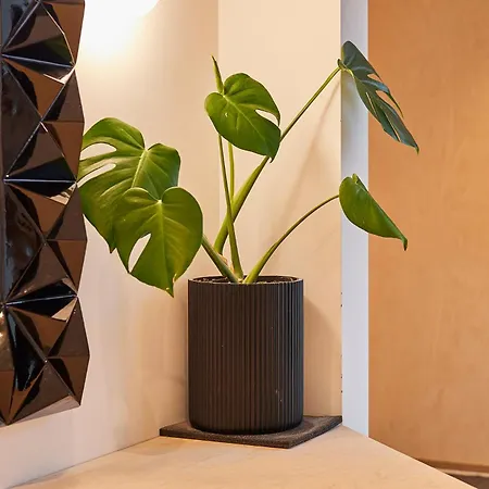 Sleeper - Sleeps 8 Scarborough