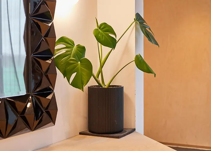 Sleeper - Sleeps 8 Scarborough