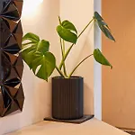 Sleeper - Sleeps 8 Scarborough
